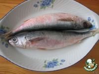 ������������ ������������� "Love me tender" �����������