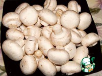 ������������ ������� � ������� ������ �����������