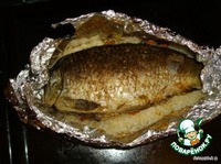 ���� ������������ �����������