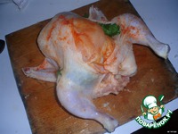 ������������ �������� �����������