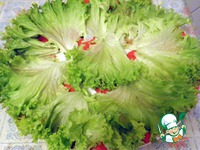 ����� "�����" �����������