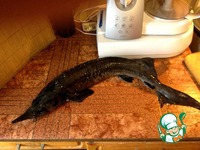 �����, ���������� � ���������� "������� �����" �����������