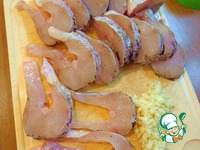 ���� � ��������-��������� ��������� �����������