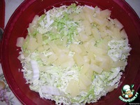 ����� "��������" �����������