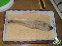 ����� ������� �����������