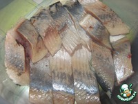 ������� ������ ������� "��������������" �����������