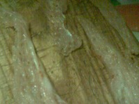 �������� �������� �����������