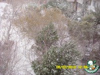 ������� ������ � ������ �������� � ����� �����������