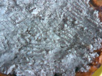 ������� ����� �� �������� ���� �����������