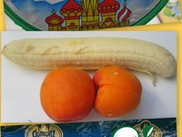 ������ "�����-�����" �����������