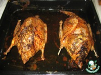 ����� ����, ������������� �������� �����������