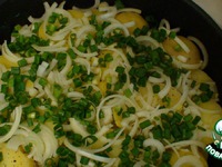 ������� ���������, ���������� � ���������� �����������