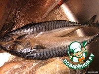 �������� "�������� ��������" �����������