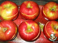 ������� ������ � ����������� � ������� �����������