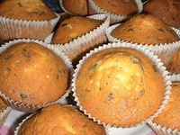 ������� "����������" �����������