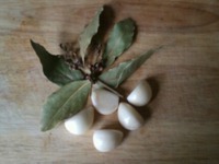 ���� �������� �������� �����������