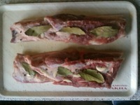 ���� �������� �������� �����������