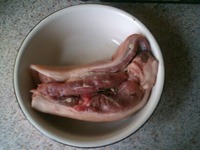 ���� �������� �������� �����������