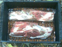 ���� �������� �������� �����������