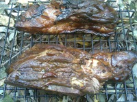 ���� �������� �������� �����������