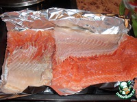 "��������" �����������