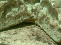 ��������� ���� �� ... �������� ���� �����������