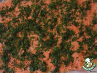 ����� ���������� "�� ������ �����" �����������