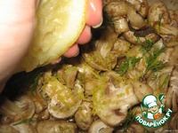 ������ �e���, �����e���� � ������������ �����������