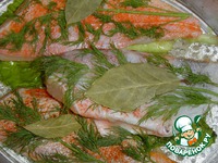 �������� ���� �����������