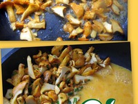 �������-�������� � �������� ��������� �����������