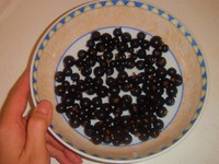 �������� "�e���� ���������" �����������