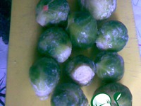 ������� ���� �����������