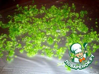 ������ ����� � ������ �����������