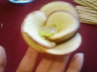 ������� "�������" �����������