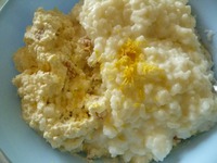 ��������-������� ��������� �����������