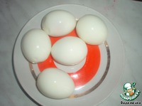 ������������.... ���� �����������