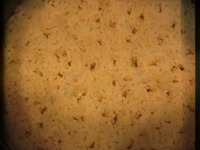 ����� ��������� �����������