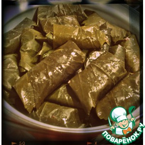 ����� ���������