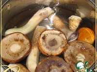 ������ ������������� � ��� �� ��� �����������