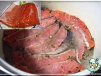 ����� ������ � ������� �����������