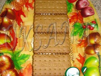 �  �����   ���  �  �  *������* �����������