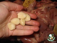 ������ � ������� � �������� �����������