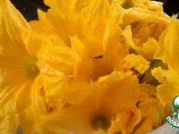 ������� ��-����������: ����� ������� � ����� �����������