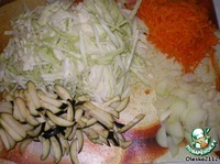 ���� "����������" �����������