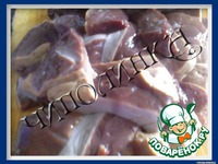 ���������-������� ���� �����������