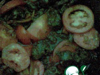 ������  ������� �����������