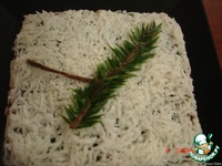 ����� "���������� ��������" �����������