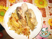 ����, ���������� � ����� �����������