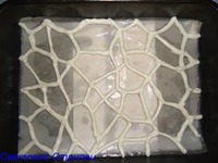 ����� "�����" �����������