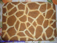 ����� "�����" �����������